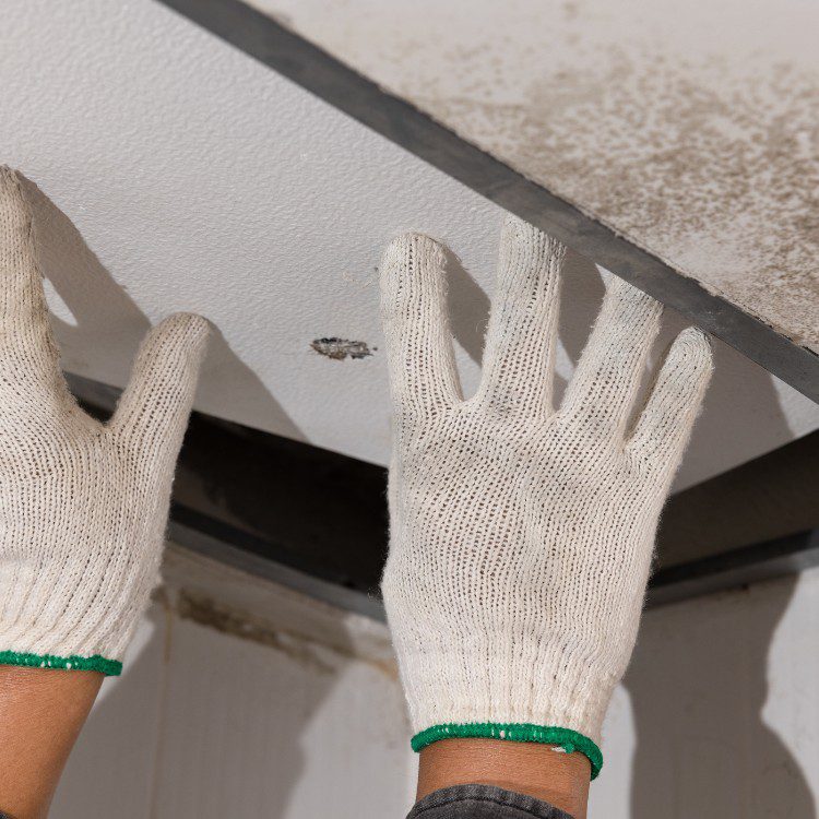 Leak Detection services in Houston, TX